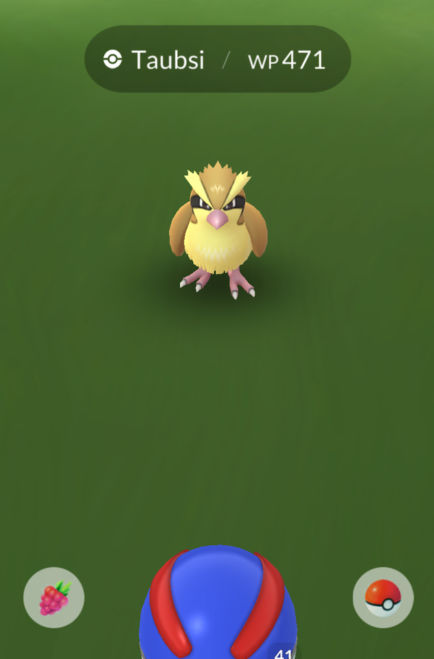 A screenshot of the Pokémon Go catch screen with pidgey
